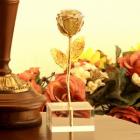 »óǰ¸í À̹ÌÁö