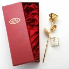 »óǰ¸í À̹ÌÁö