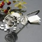 »óǰ¸í À̹ÌÁö