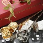 »óǰ¸í À̹ÌÁö