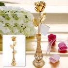 »óǰ¸í À̹ÌÁö