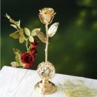 »óǰ¸í À̹ÌÁö