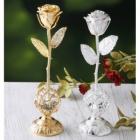 »óǰ¸í À̹ÌÁö