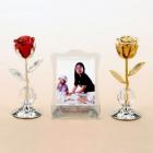 »óǰ¸í À̹ÌÁö