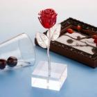 »óǰ¸í À̹ÌÁö