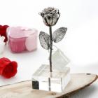 »óǰ¸í À̹ÌÁö