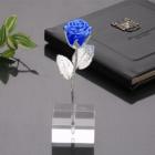 »óǰ¸í À̹ÌÁö