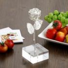 »óǰ¸í À̹ÌÁö