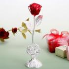 »óǰ¸í À̹ÌÁö