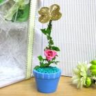 ��ǰ�� �̹���