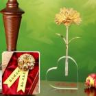 ��ǰ�� �̹���