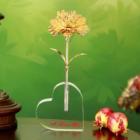 ��ǰ�� �̹���