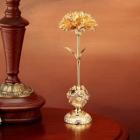 ��ǰ�� �̹���