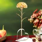 ��ǰ�� �̹���