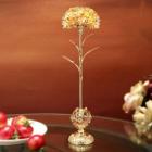 ��ǰ�� �̹���