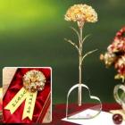 ��ǰ�� �̹���