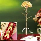 ��ǰ�� �̹���