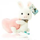 ��ǰ�� �̹���