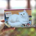 ��ǰ�� �̹���