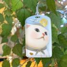 »óǰ¸í À̹ÌÁö