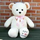 ��ǰ�� �̹���