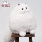 »óǰ¸í À̹ÌÁö