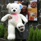 ��ǰ�� �̹���