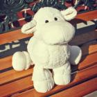 ��ǰ�� �̹���