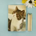 ��ǰ�� �̹���