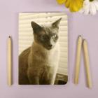 ��ǰ�� �̹���