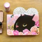 »óǰ¸í À̹ÌÁö