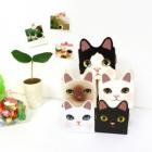 ��ǰ�� �̹���