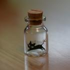 ��ǰ�� �̹���