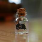 ��ǰ�� �̹���